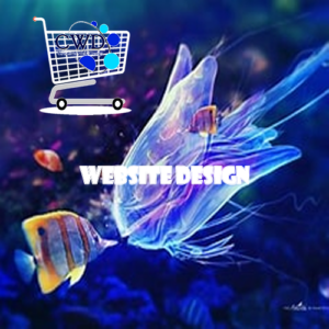 Website Design