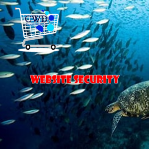 Website Security