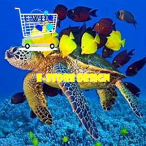 e-Commerce Website Design
