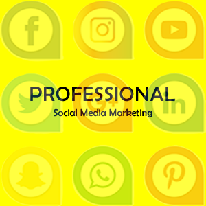 Social Media Marketing Professional Package