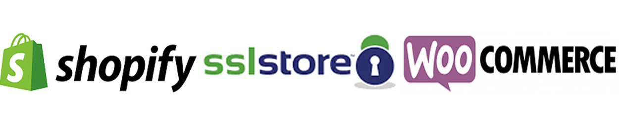 High-Performance Storefront Solutions Where Your Website Is More Than Just A Brochure ... It's A Primary Engine For Growth